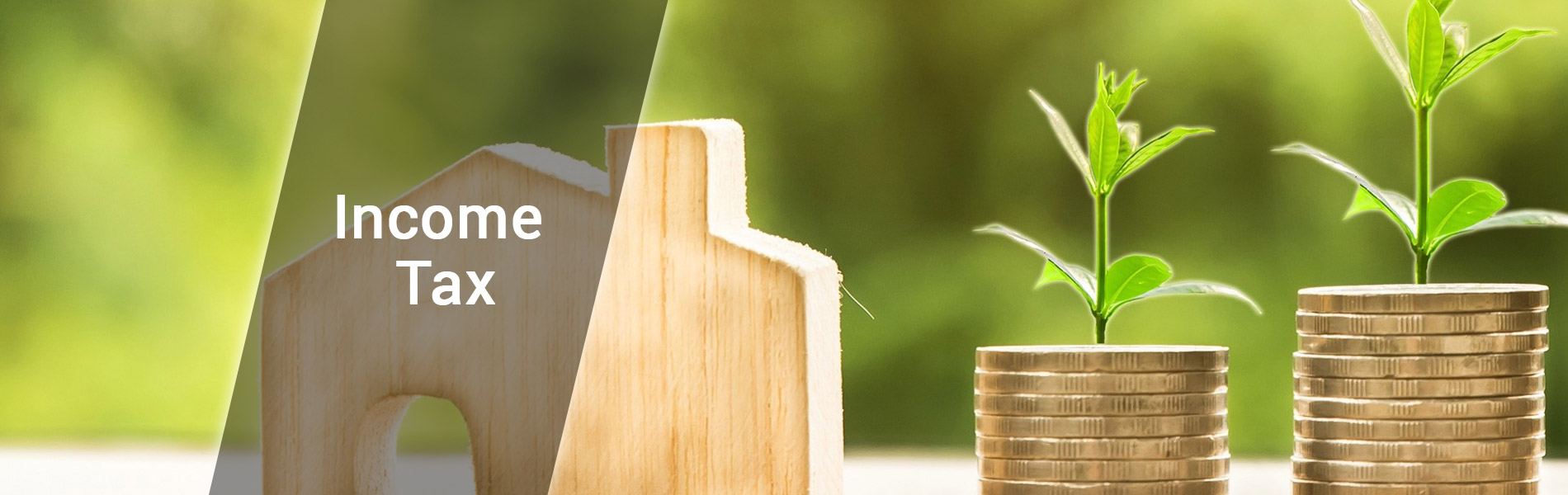 NRI Cross-Border Tax and Foreign Remittance Advisory at Kevisha Consultancy Pvt. Ltd.